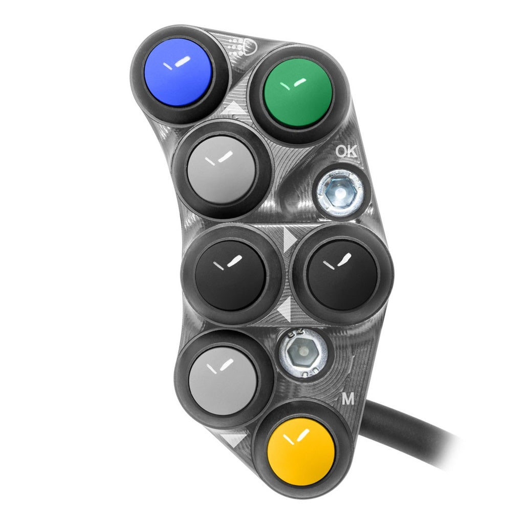 Jetprime LHS Race Handlebar Switch for Triumph - JPPSRTR039T