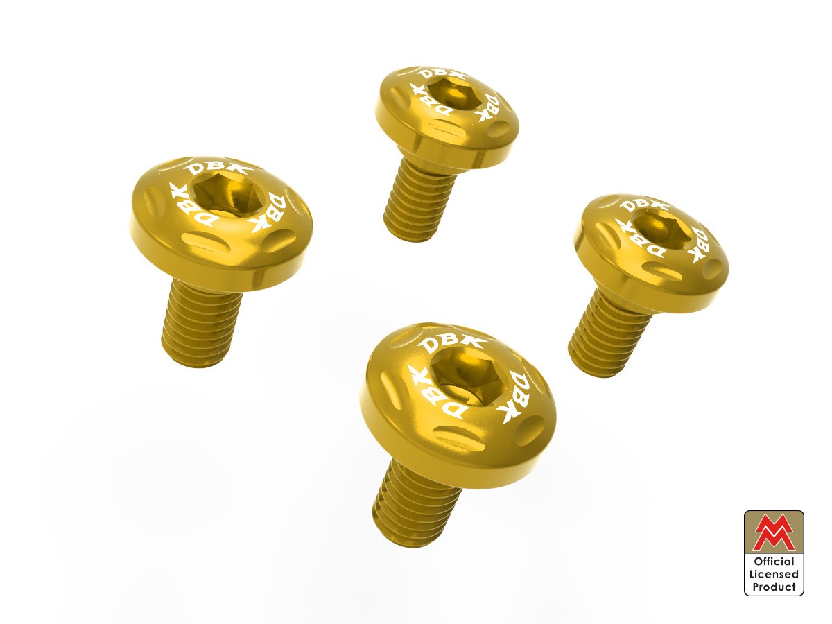 KVT60 - MOTO MORINI FORK PROTECTION SCREW KIT