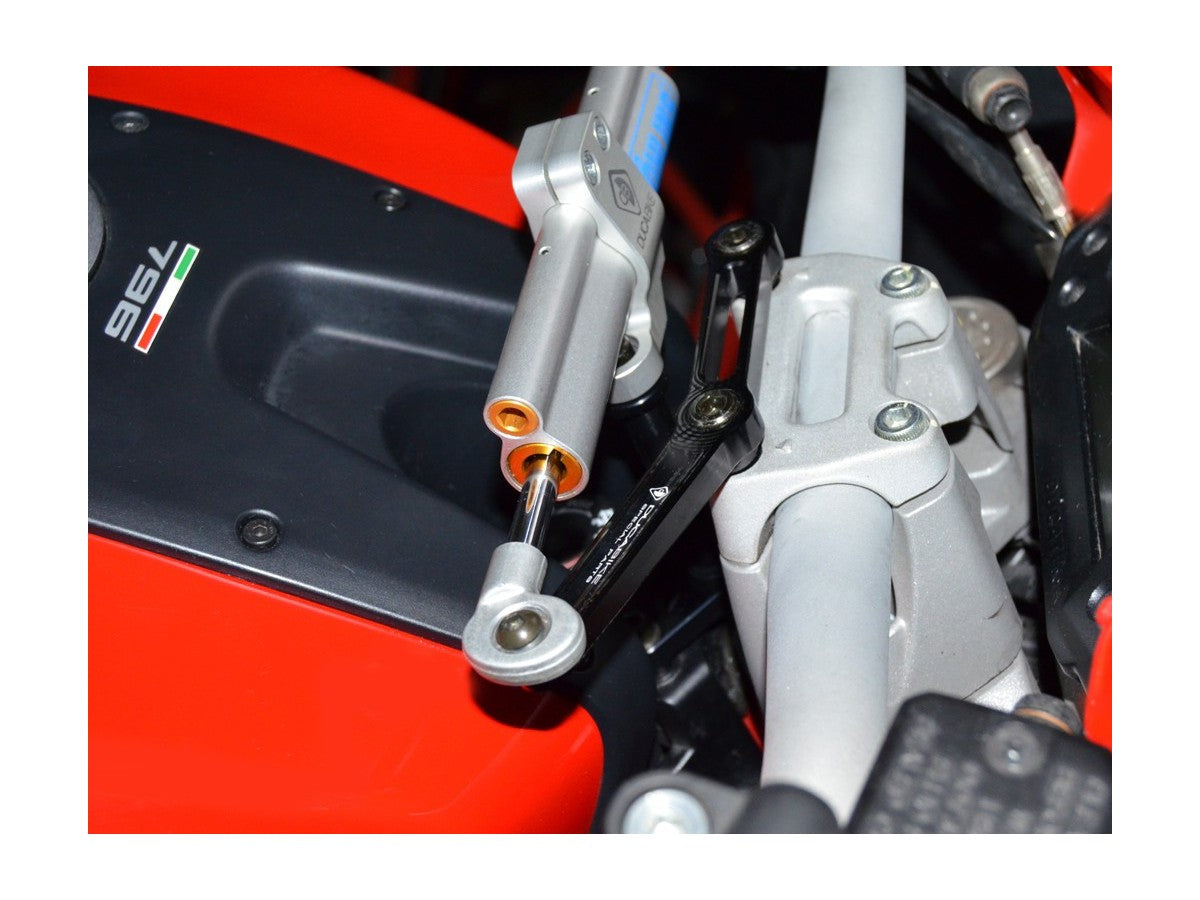 SAS06 - KIT MOUNT STEERING DAMPER M796 / 1100 EVO
