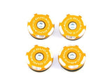 TTM02 - KIT FRAME PLUGS