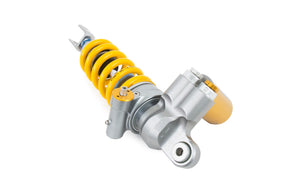 Ohlins Ducati Panigale V4  PPP TTX GP